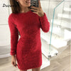 Fashion Winter Plush sweater Dress Women Party night